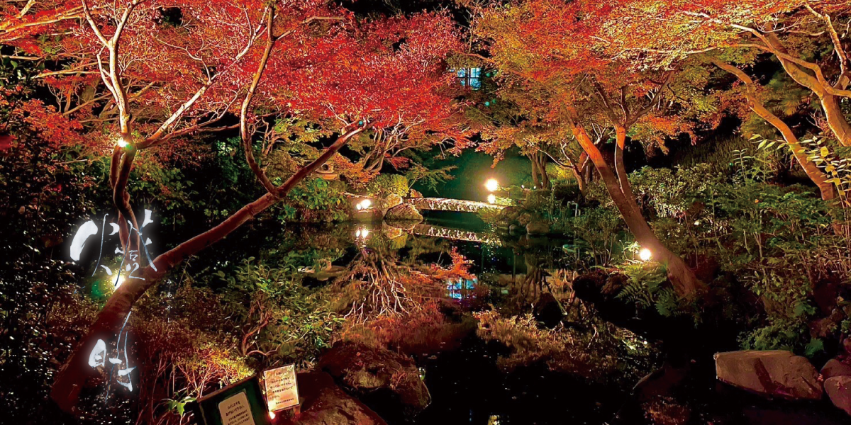 美しくライトアップされた夜の紅葉の和式庭園